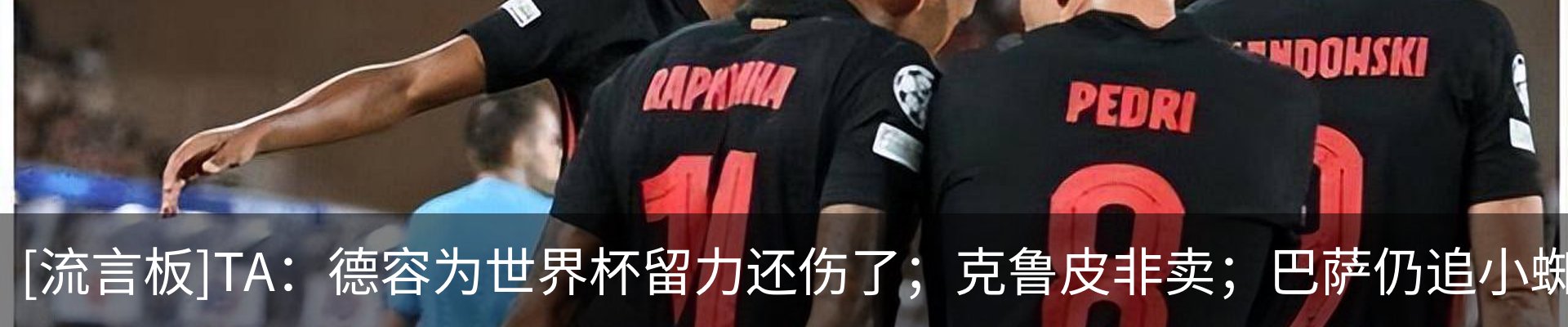 资讯动态